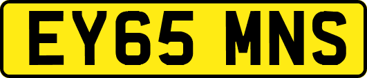 EY65MNS
