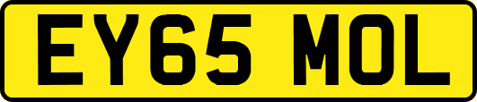 EY65MOL