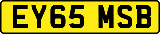 EY65MSB