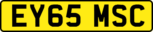 EY65MSC