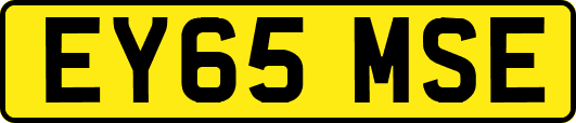 EY65MSE