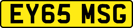 EY65MSG