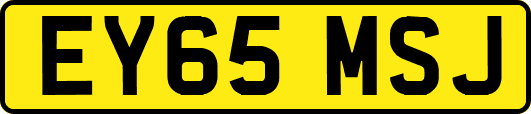 EY65MSJ