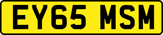 EY65MSM