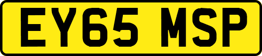 EY65MSP