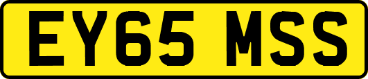 EY65MSS