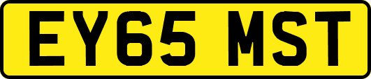 EY65MST