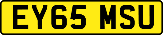 EY65MSU