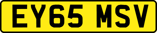 EY65MSV