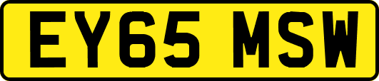 EY65MSW