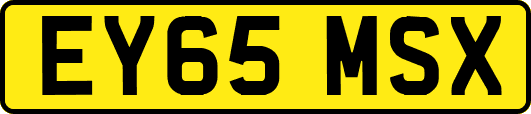 EY65MSX