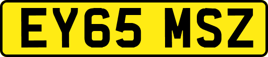 EY65MSZ