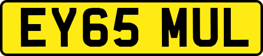 EY65MUL