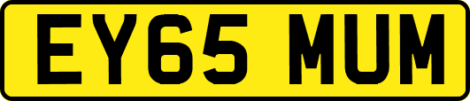 EY65MUM