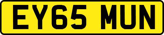 EY65MUN