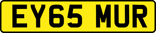 EY65MUR