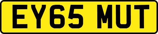 EY65MUT