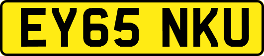 EY65NKU