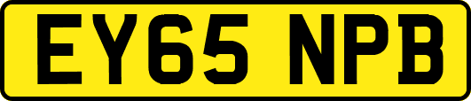 EY65NPB
