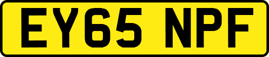EY65NPF