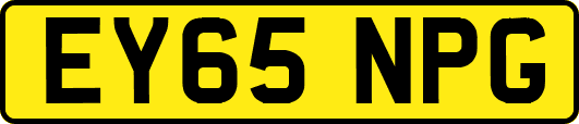EY65NPG