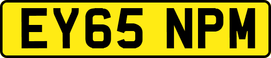 EY65NPM