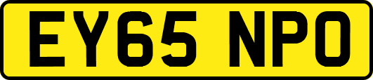EY65NPO