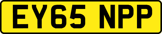 EY65NPP