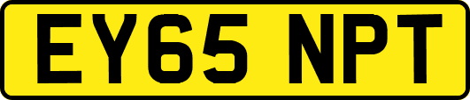 EY65NPT