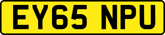 EY65NPU