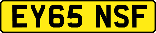 EY65NSF