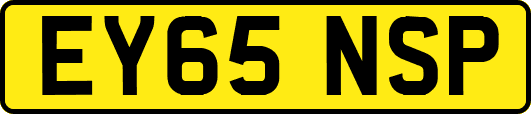 EY65NSP