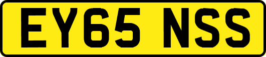 EY65NSS