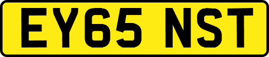 EY65NST