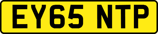 EY65NTP