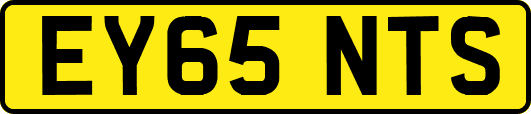 EY65NTS