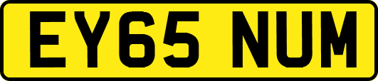 EY65NUM