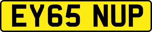 EY65NUP