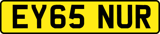 EY65NUR