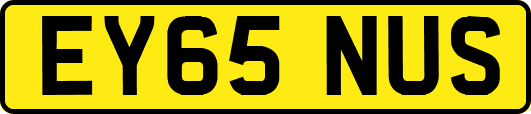 EY65NUS