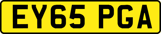 EY65PGA