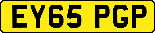 EY65PGP