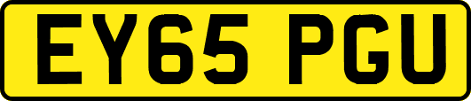 EY65PGU