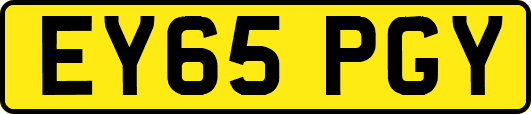 EY65PGY