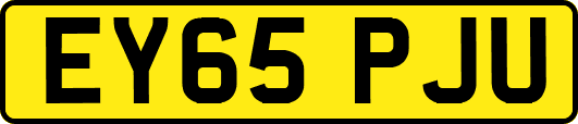 EY65PJU