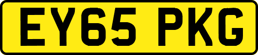 EY65PKG