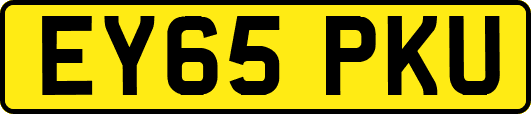 EY65PKU