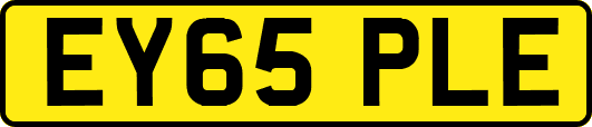 EY65PLE
