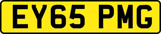 EY65PMG