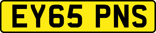 EY65PNS